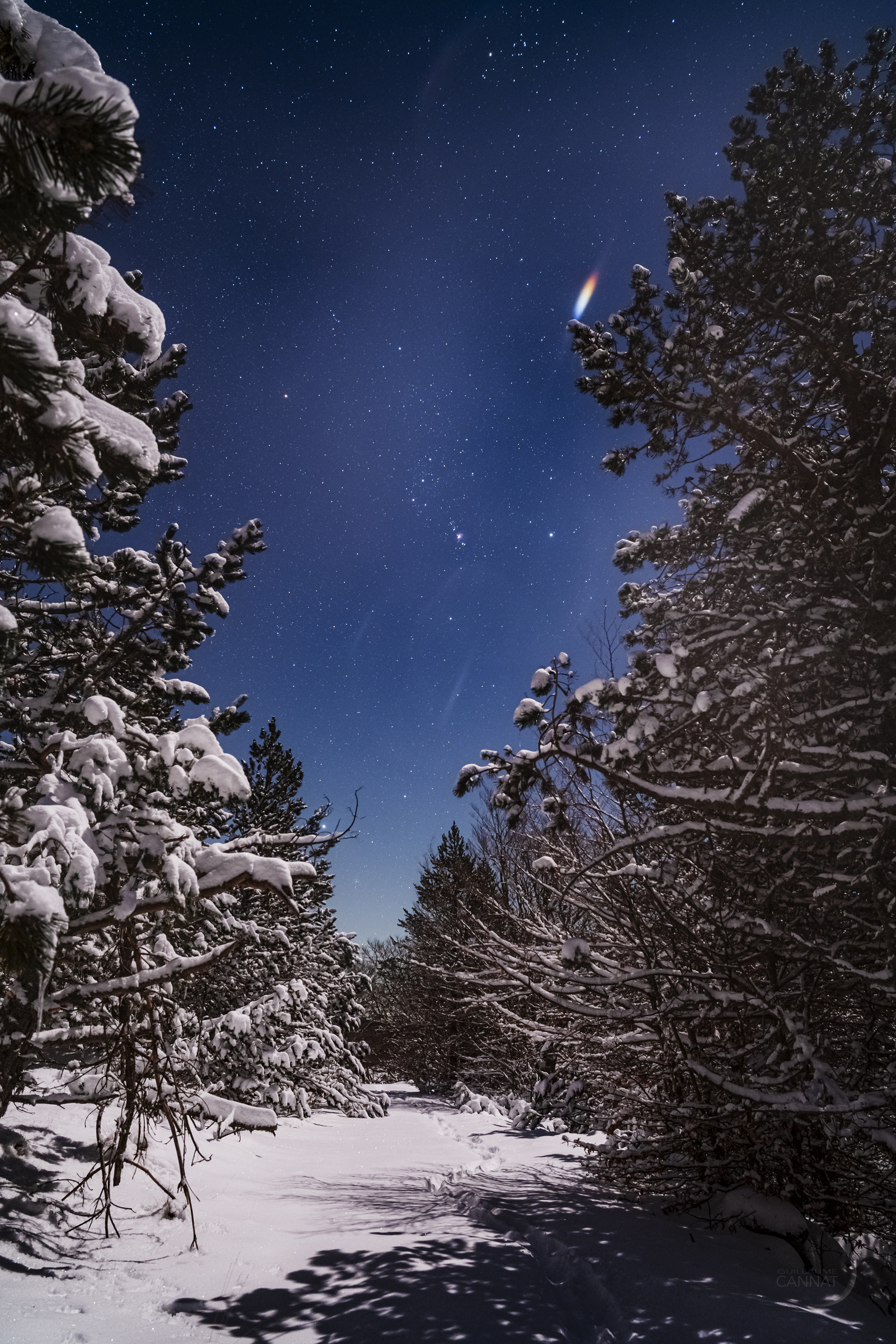 Orion